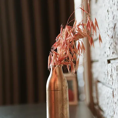 酒店 Taverna Devolli 5*