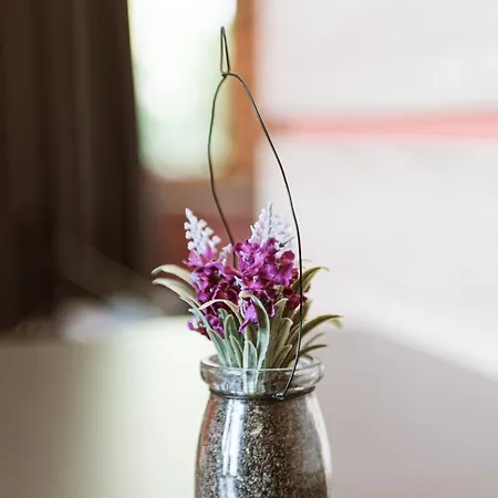 Taverna Devolli 酒店 库乔韦