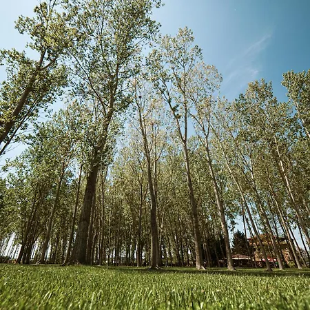 Taverna Devolli 库乔韦