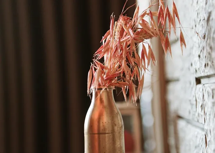 酒店 Taverna Devolli 5*