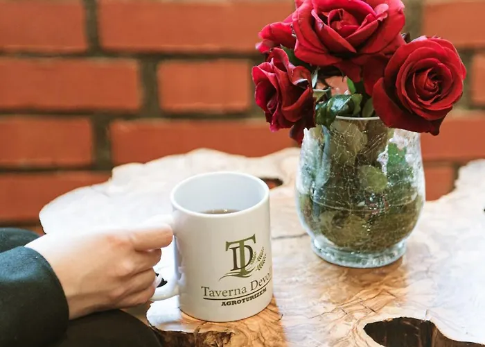 酒店 Taverna Devolli 5*