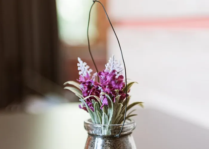 Taverna Devolli 酒店 库乔韦