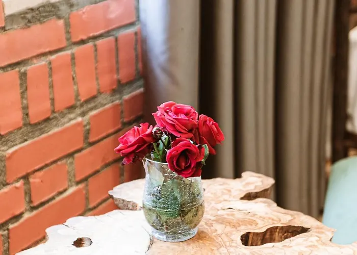 酒店 Taverna Devolli 库乔韦