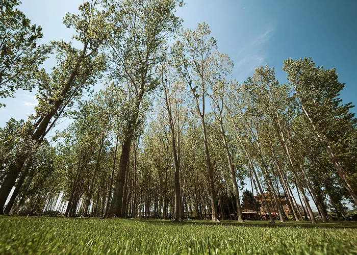 Taverna Devolli 库乔韦